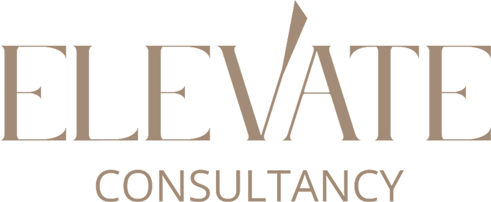 Elevate Consultancy